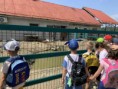 /album/predskolaci-v-klokocine-19-6-2025/ad9258f6-331e-4146-a6a3-11f2d06cb397-jpg/