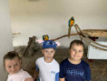/album/predskolaci-v-klokocine-19-6-2025/f93daee7-3fe1-453c-985d-45056b1a7421-jpg/